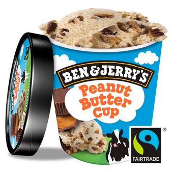 Ben & Jerry's Peanut Butter Cup Arašídová zmrzlina 500ml